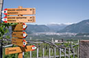 Urlaub auf dem Bauernhof